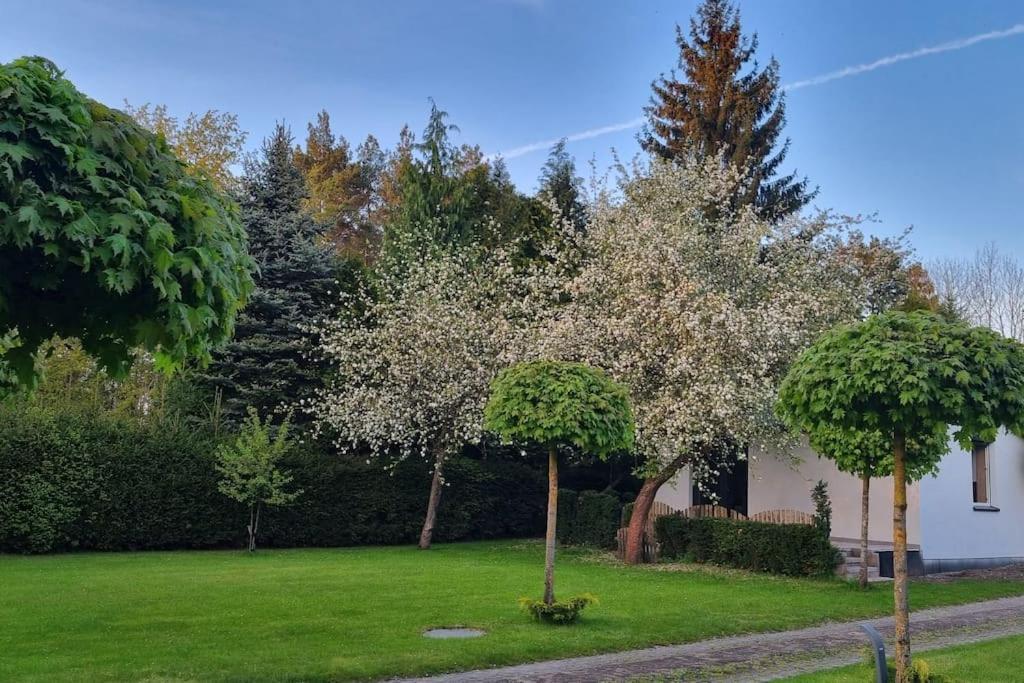 Pod Jablonia Villa Bydgoszcz Dış mekan fotoğraf