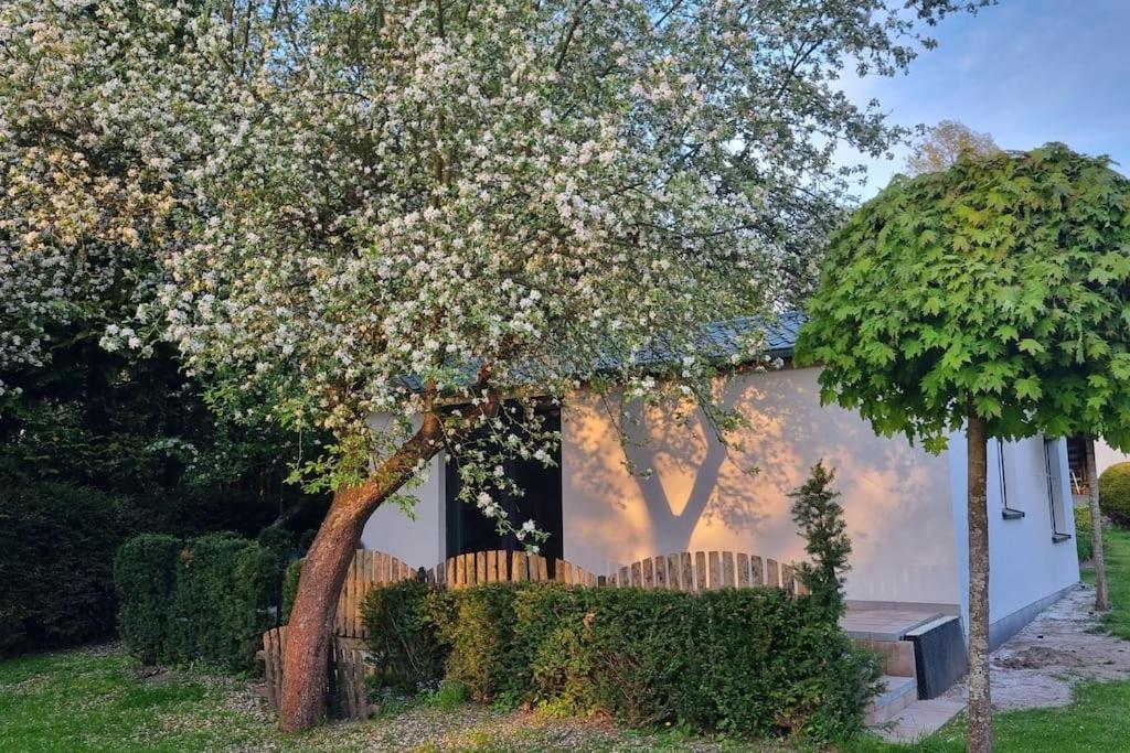 Pod Jablonia Villa Bydgoszcz Dış mekan fotoğraf