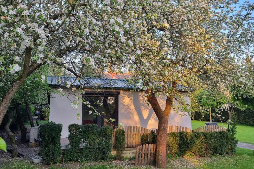 Pod Jablonia Villa Bydgoszcz Dış mekan fotoğraf