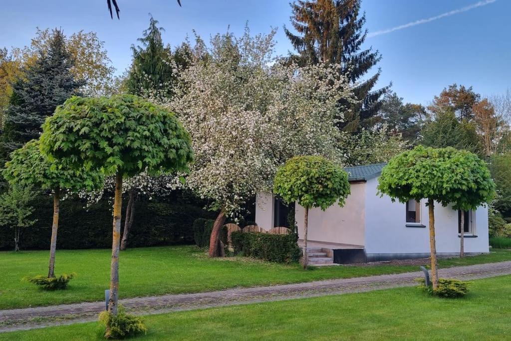 Pod Jablonia Villa Bydgoszcz Dış mekan fotoğraf